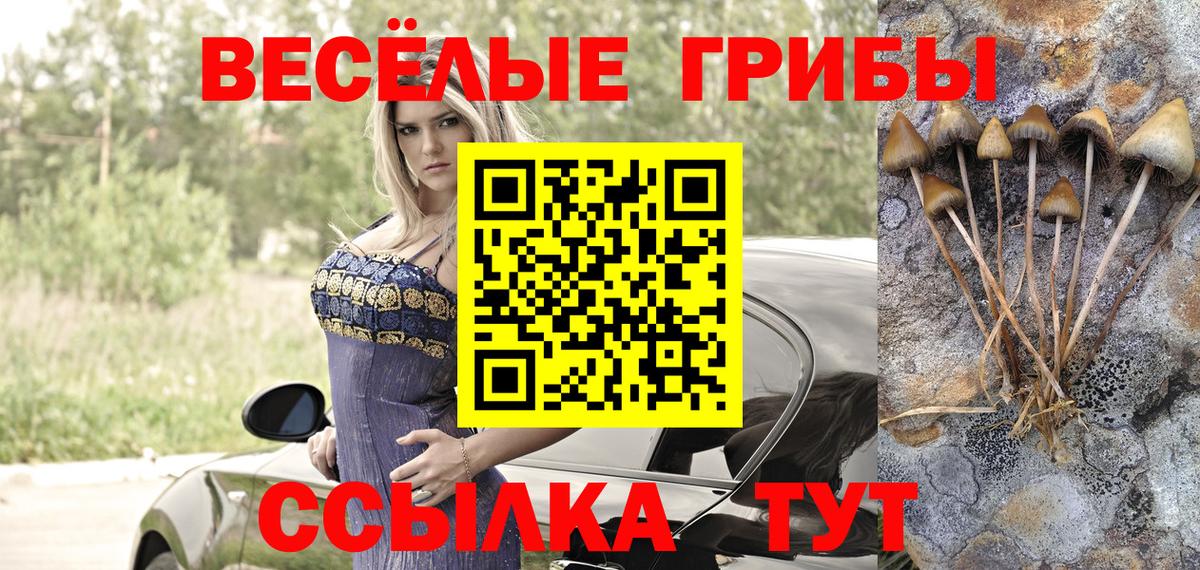Псилоцибиновые грибы мухоморы  Галлюциногенные грибы Cubensis  Вход с VPN  Назрань 